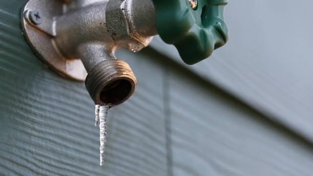 Best Local Plumber Services  in Woodville, CA